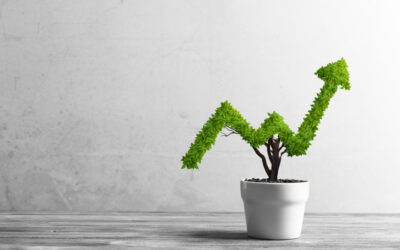 OBEIKAN GLASS PROFIT UP TO SAR 173.7 MLN IN 2021